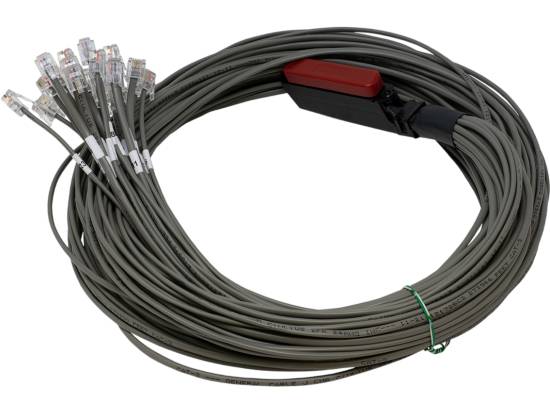 Custom Cable QWIK 6' 25x2 RJ11 Octopus Cable with Female RJ21x Amp Connector