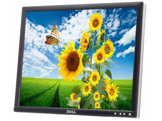Dell 1905FP 19" LCD Monitor - No Stand - Grade A