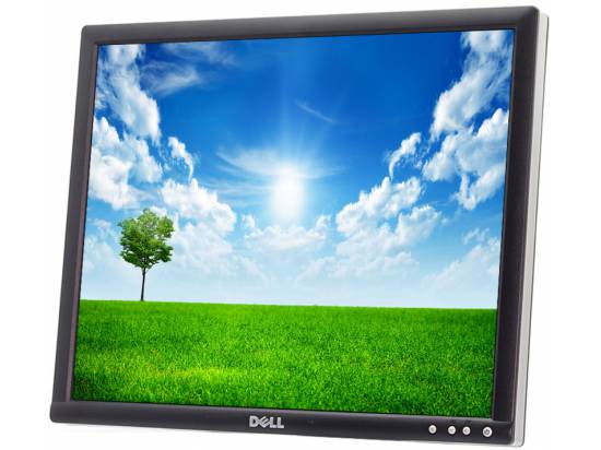 Dell 1905FP 19" LCD Monitor - No Stand - Grade B