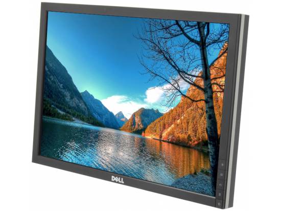 Dell 1909Wf  19" Widescreen LCD Monitor - No Stand - Grade A