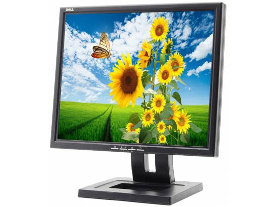 Dell E171FPb 17" LCD Monitor - Grade C