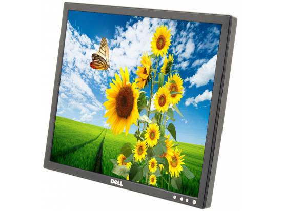 Dell E196FP 19" LCD Monitor - No Stand - Grade A