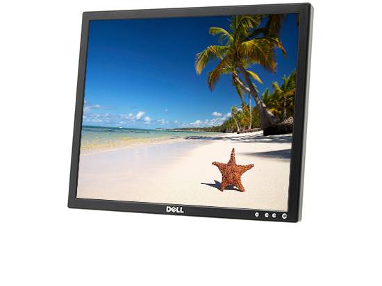 Dell E198FPb 19" LCD Monitor - No Stand -  Grade B 