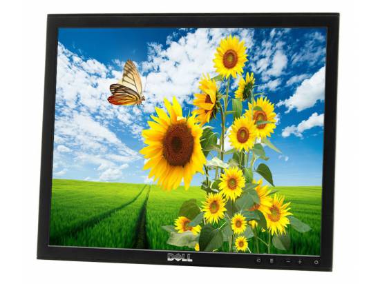 Dell P170S 17" LCD Monitor -  No Stand - Grade B