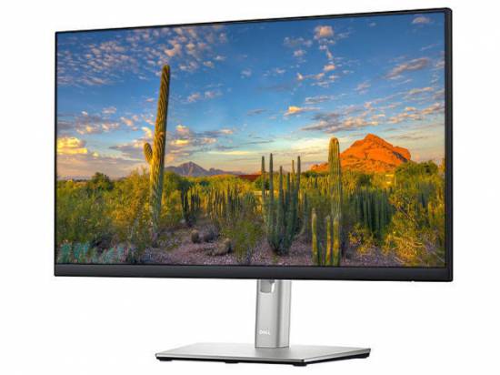 Dell P2422H 24" FHD IPS LED LCD Monitor - Grade C
