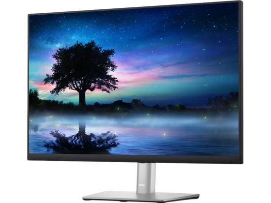 Dell P2423 24" Class WUXGA IPS LCD Monitor - Grade C