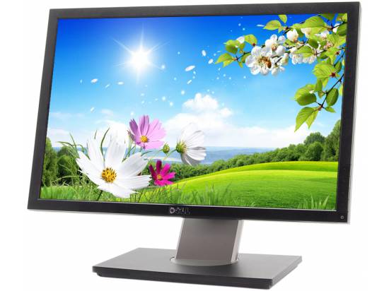 Dell Professional P1911 19" Widescreen LCD Monitor - Grade A
