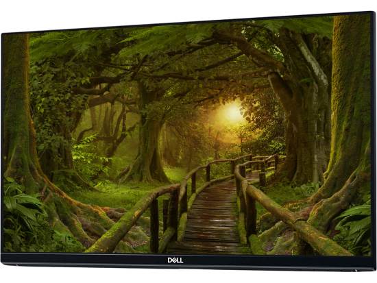 Dell SE2419H 24" IPS LED Monitor - No Stand - Grade A