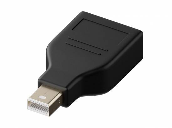 Generic Mini DisplayPort to Displayport Adapter