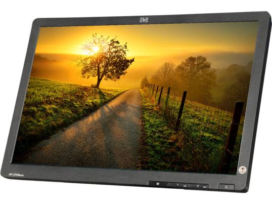 HP L1908w 19" Widescreen LCD Monitor - No Stand - Grade A