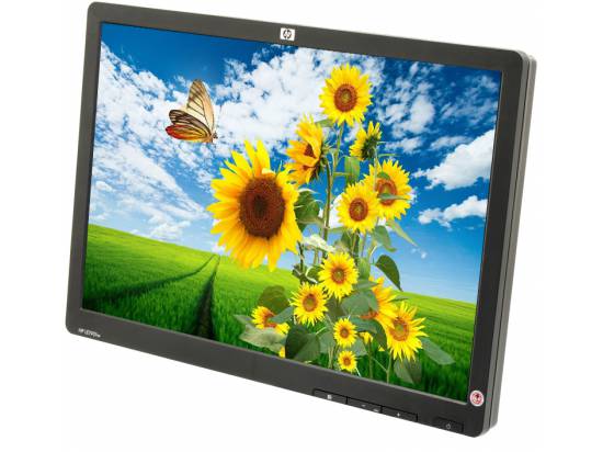 HP LE1901wm 19" Widescreen LCD Monitor - No Stand - Grade B