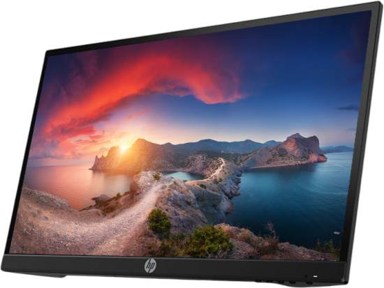 HP P22h G4 21.5" IPS LCD Monitor - No Stand - Grade B