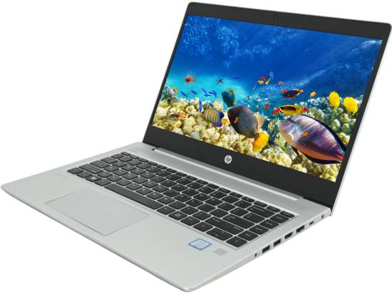 HP ProBook 440 G6 14" Laptop i5-8265U - Windows 11 - Grade A