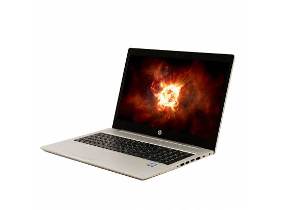HP ProBook 450 G6 15.6" Laptop i5-8265U - Windows 11 - Grade C