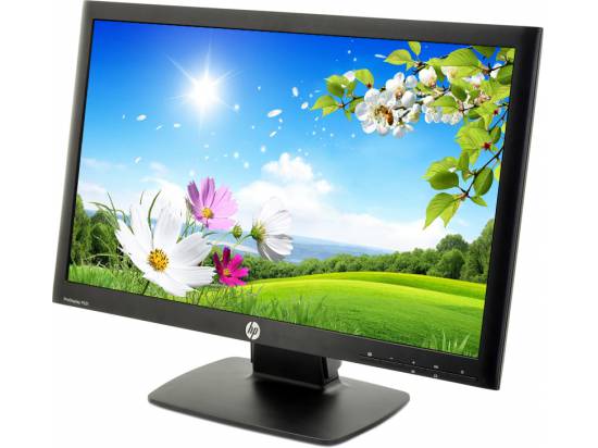 HP ProDisplay P221 21.5" Widescreen LED LCD Monitor - Grade A