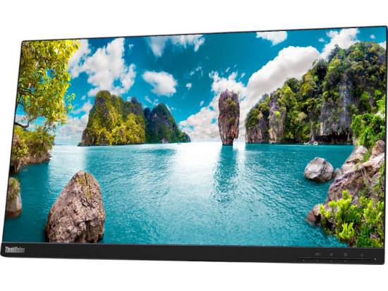 Lenovo ThinkVision T24i-20 24" FHD LED LCD Monitor - No Stand - Grade A