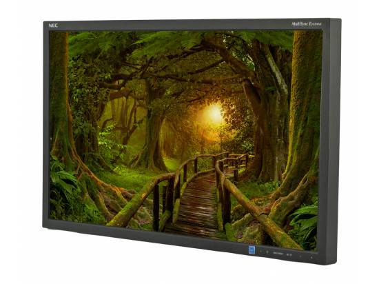 NEC MultiSync E243WMi 24" Widescreen IPS LCD Monitor - No Stand - Grade A