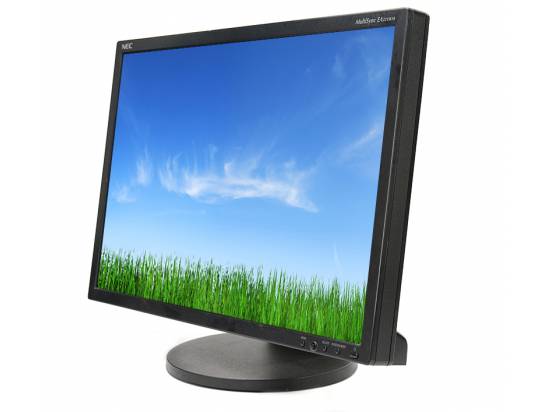 NEC MultiSync EA221WM 22" LCD Monitor - Grade A