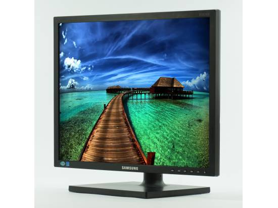 Samsung S19C450 19"  LED LCD Monitor - Grade C