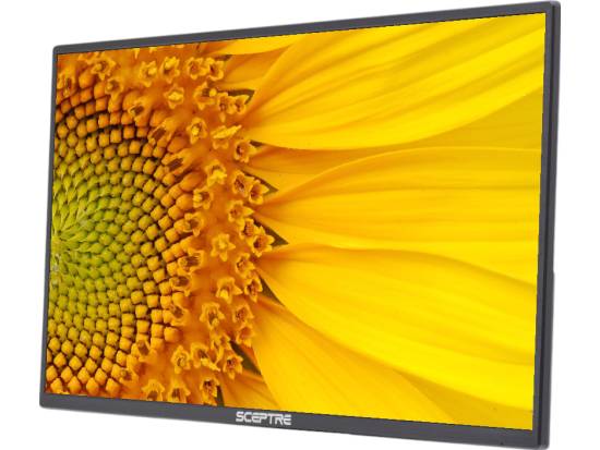 Sceptre E248W-19203R 24" LED LCD Monitor - No Stand - Grade C
