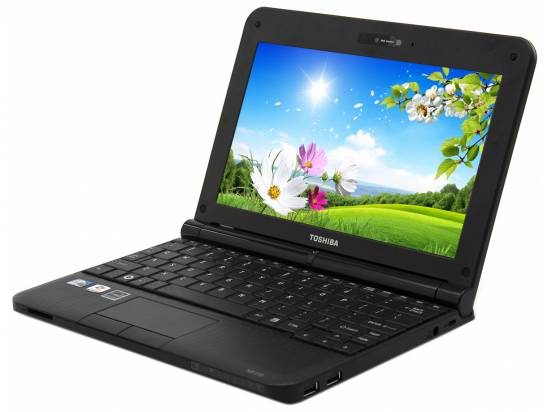 Toshiba Mini NB255-N250 10.1" Laptop Atom (N455)  No - Windows 10 - Grade A
